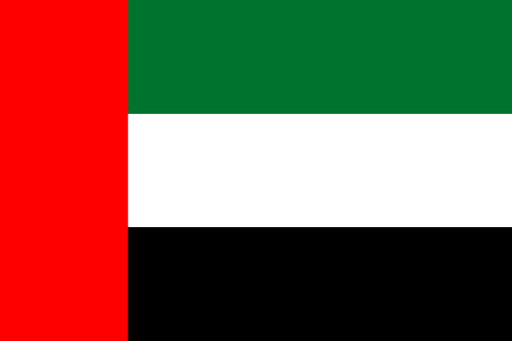 Joint statement: 10 years since the unjust arrest of four lawyers at the UAE 94 trial