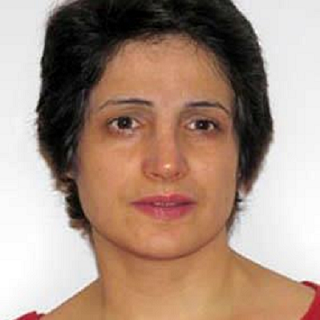 Iran Nasrin Sotoudeh nominated for Martin Ennals Award
